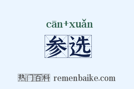 参选是什么意思的图片